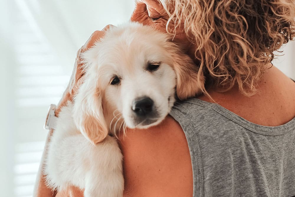A person with curly hair affectionately hugs a sleepy cream-colored Golden Retriever puppy over their shoulder.