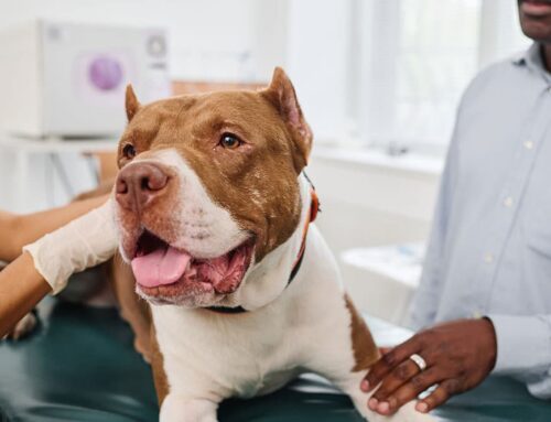 Early Detection: Annual Health Screens