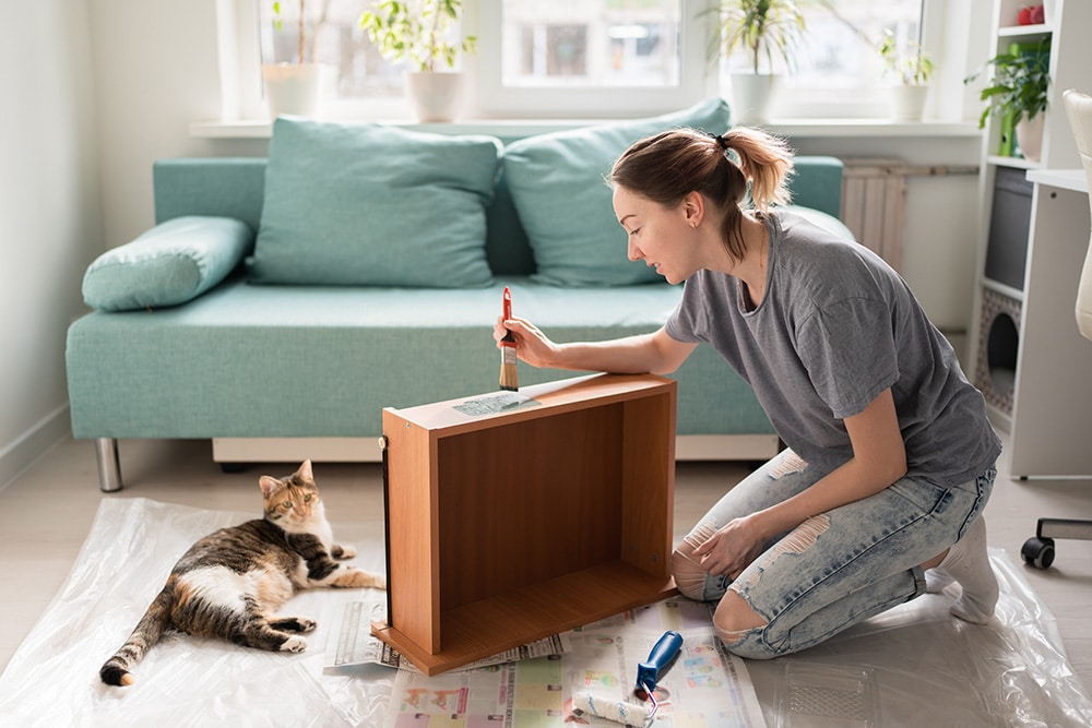Person painting a small wooden box on the floor while a cat watches nearby, illustrating a DIY pet enrichment or puzzle feeder project at home.