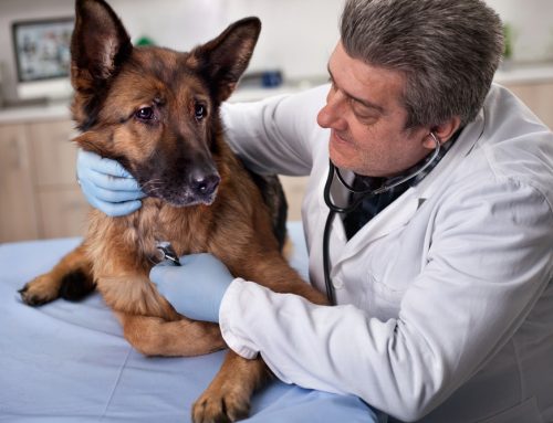 Monitoring Chronic Disease: How Often and Which Tests